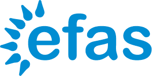 fad