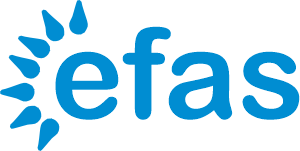 fad